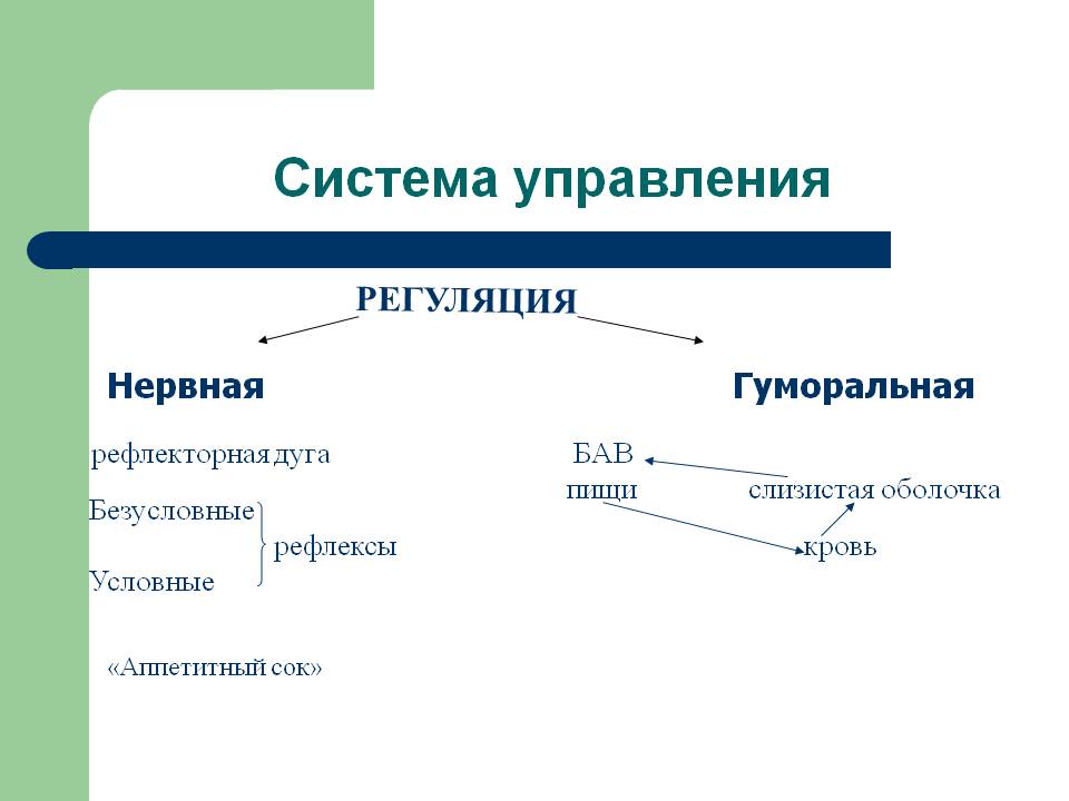 Система управления