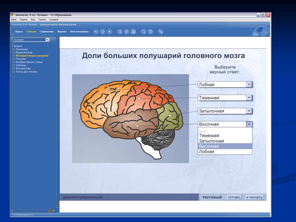 Биология 8 класс