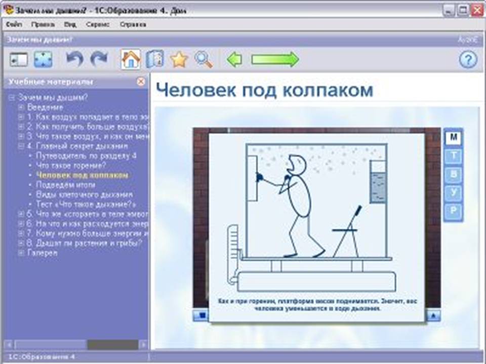 Биология 8 класс