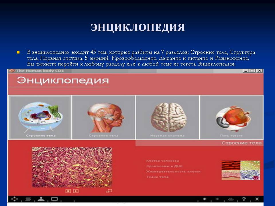 Энциклопедия