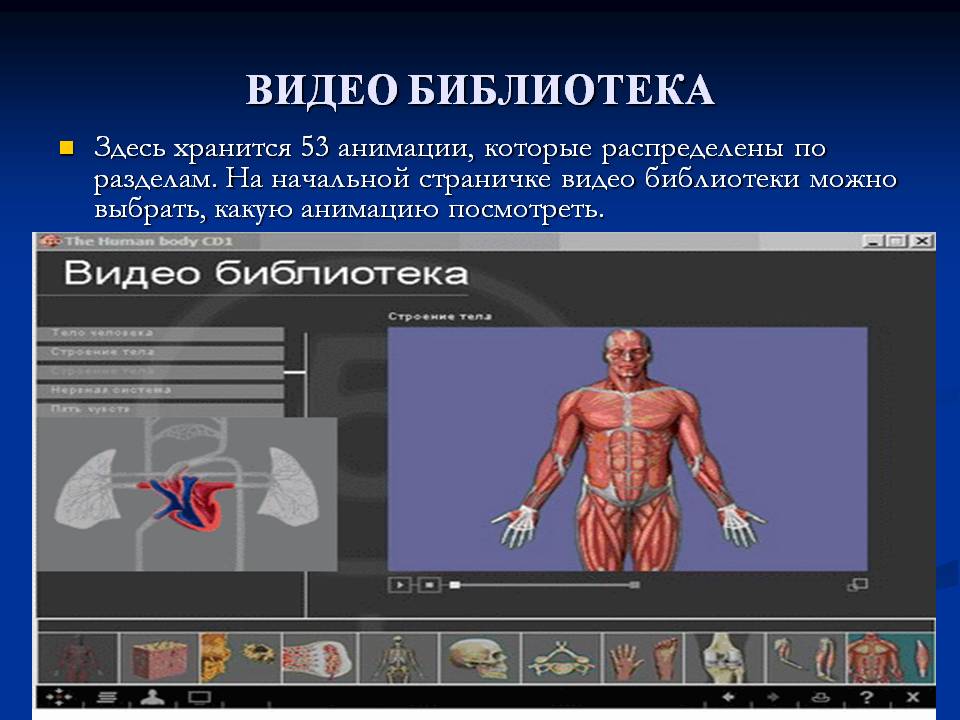 Видео библиотека