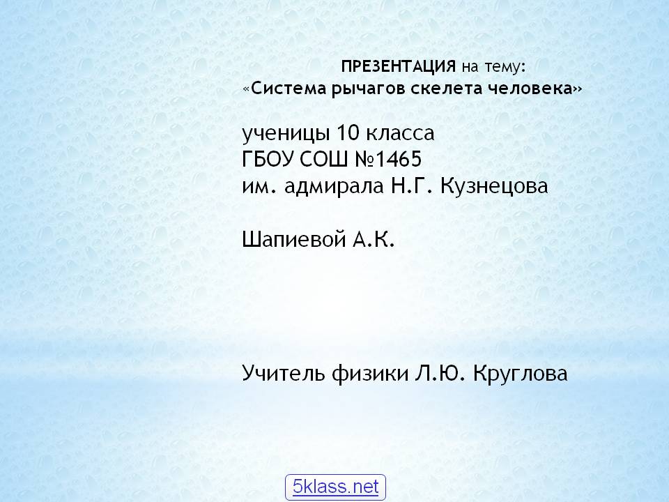 Система рычагов скелета человека
