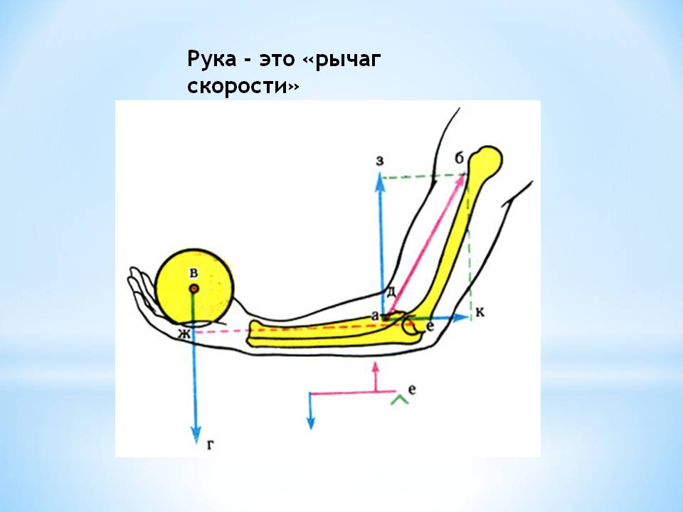 Рука - это «рычаг скорости»