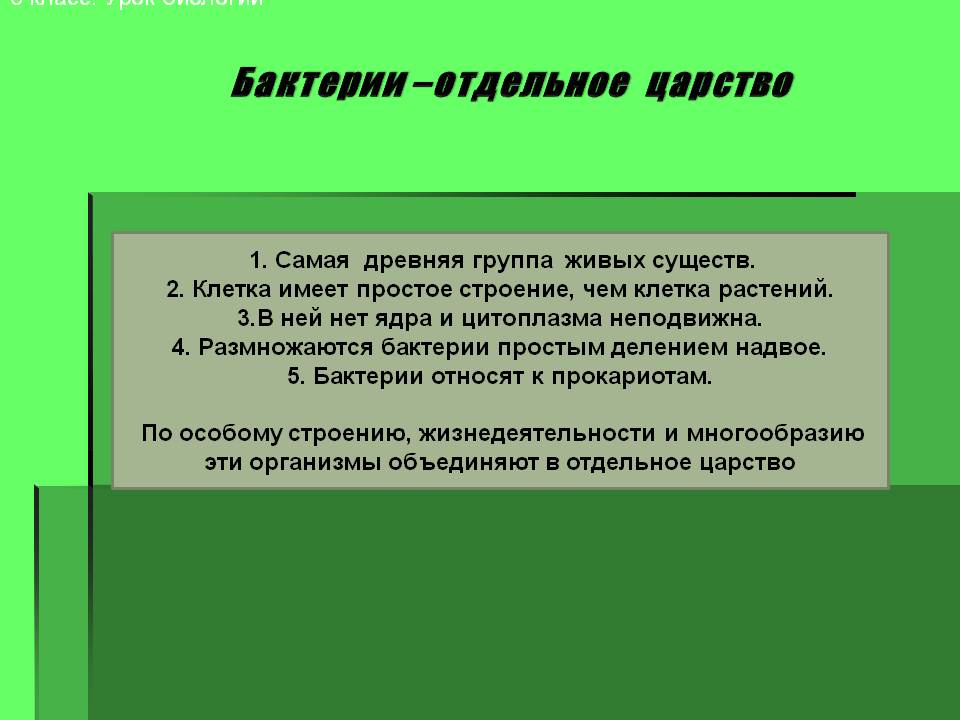 Бактерии –отдельное царство