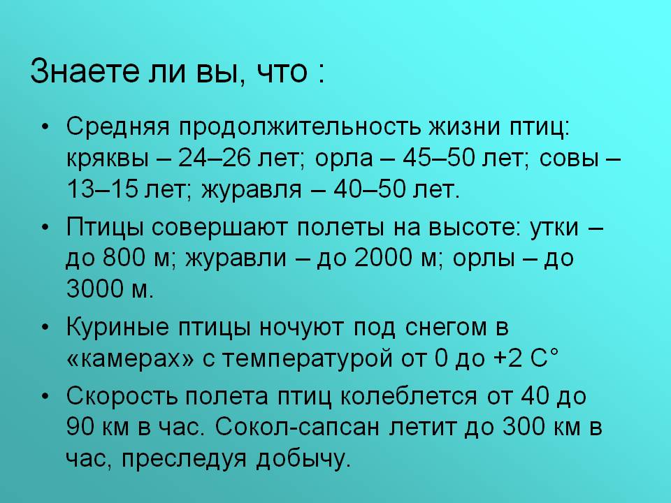 Знаете ли вы, что :