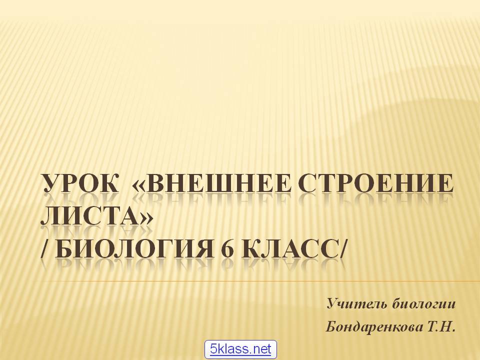 Урок «Внешнее строение листа» / биология 6 класс/