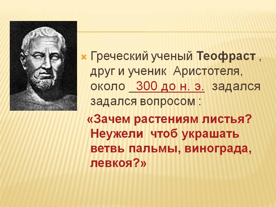 Греческий ученый Теофраст , друг и ученик Аристотеля, около 300 до н