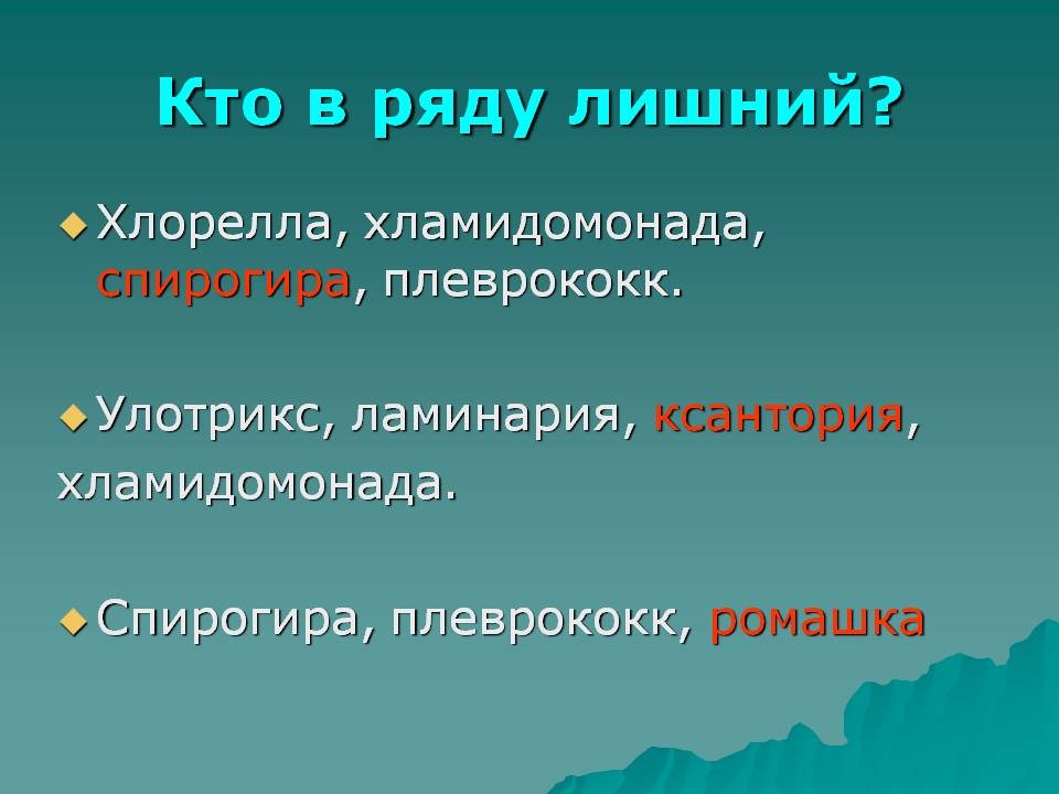 Спирогира, плеврококк, ромашка
