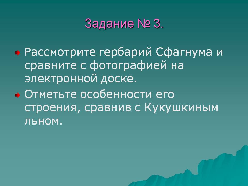 Гербарий Сфагнума