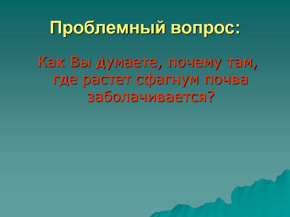 Почва заболачивается