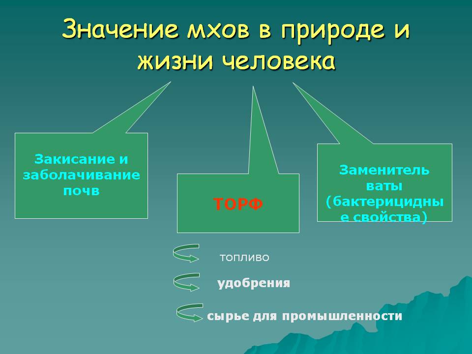Заменитель ваты (бактерицидные свойства)