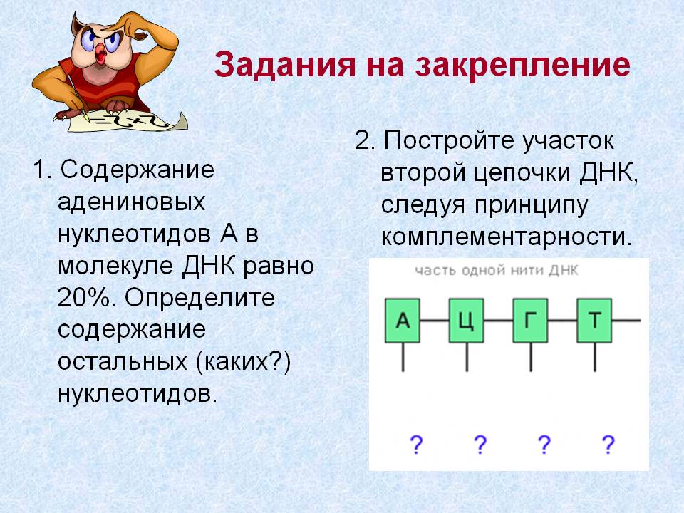 Задания на закрепление