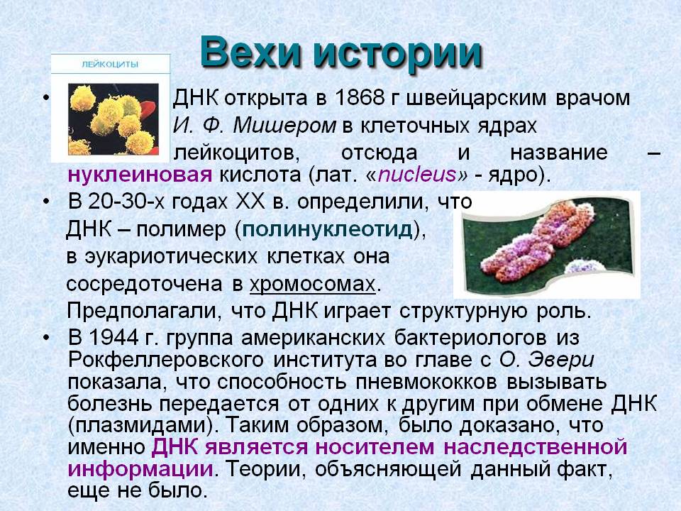 Вехи истории