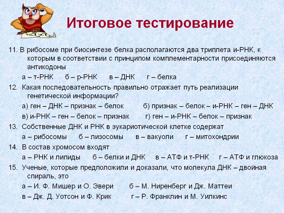 Итоговое тестирование