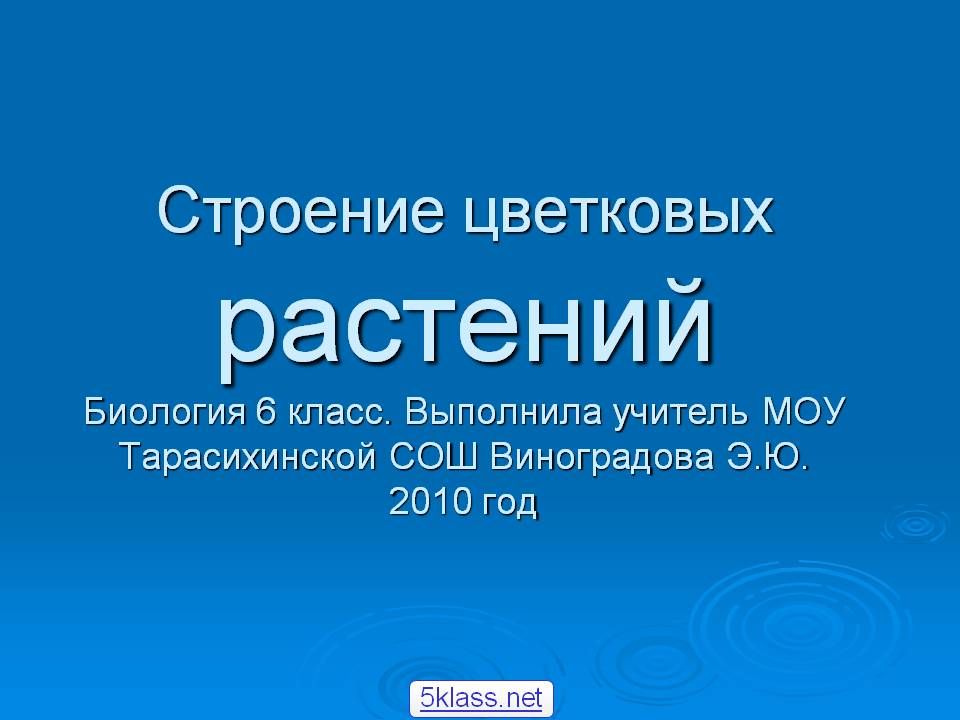 Строение цветковых растений Биология 6 класс
