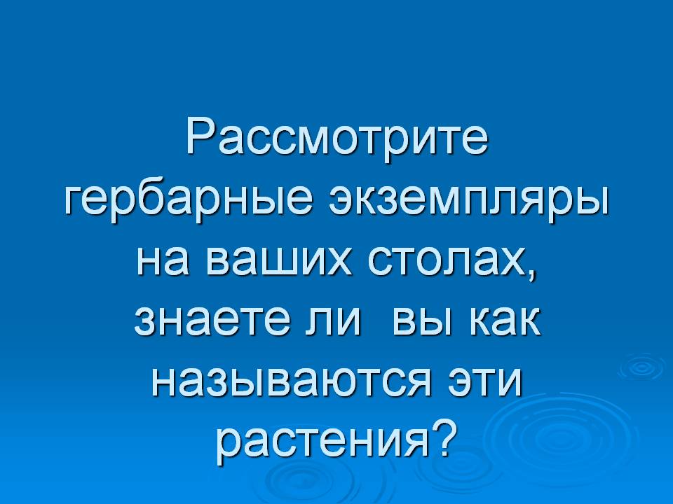 Рассмотрите гербарные экземпляры на ваших столах, знаете ли вы как