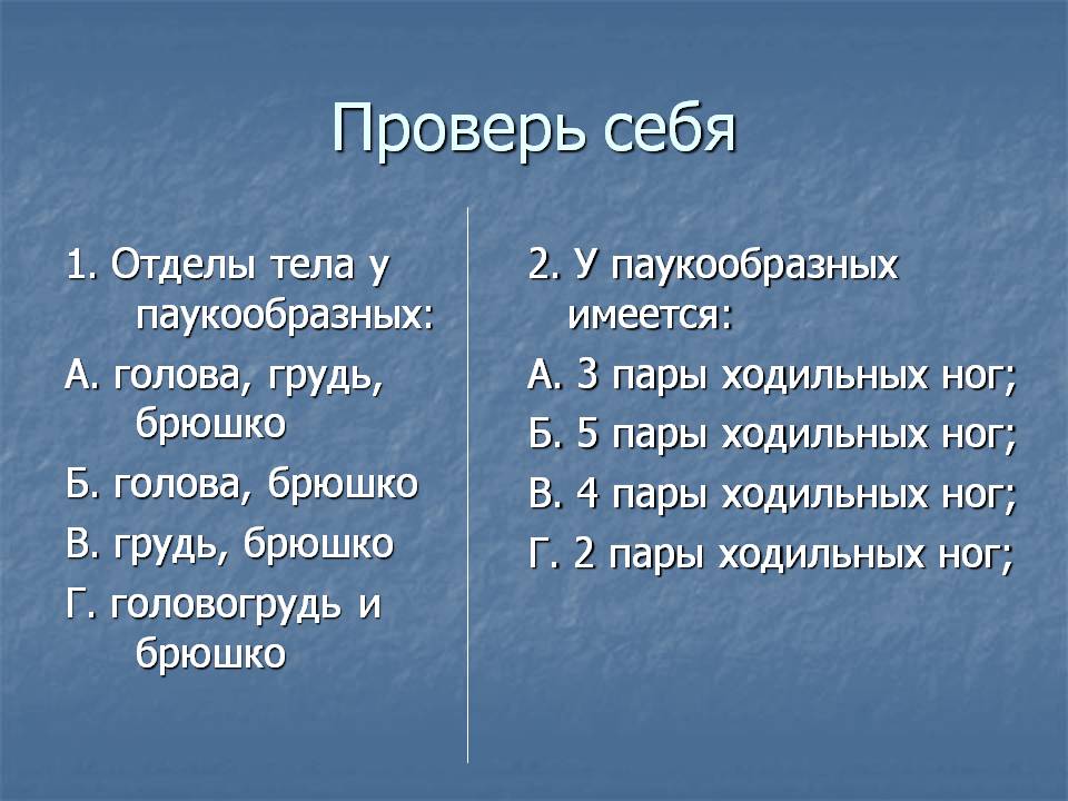 Проверь себя