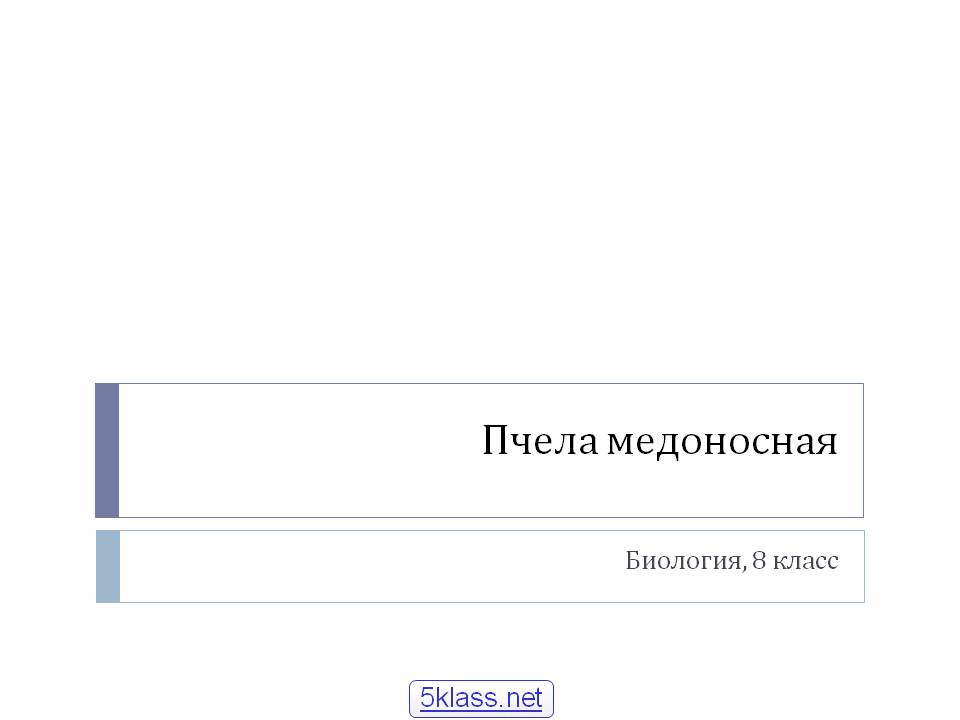 Пчела медоносная