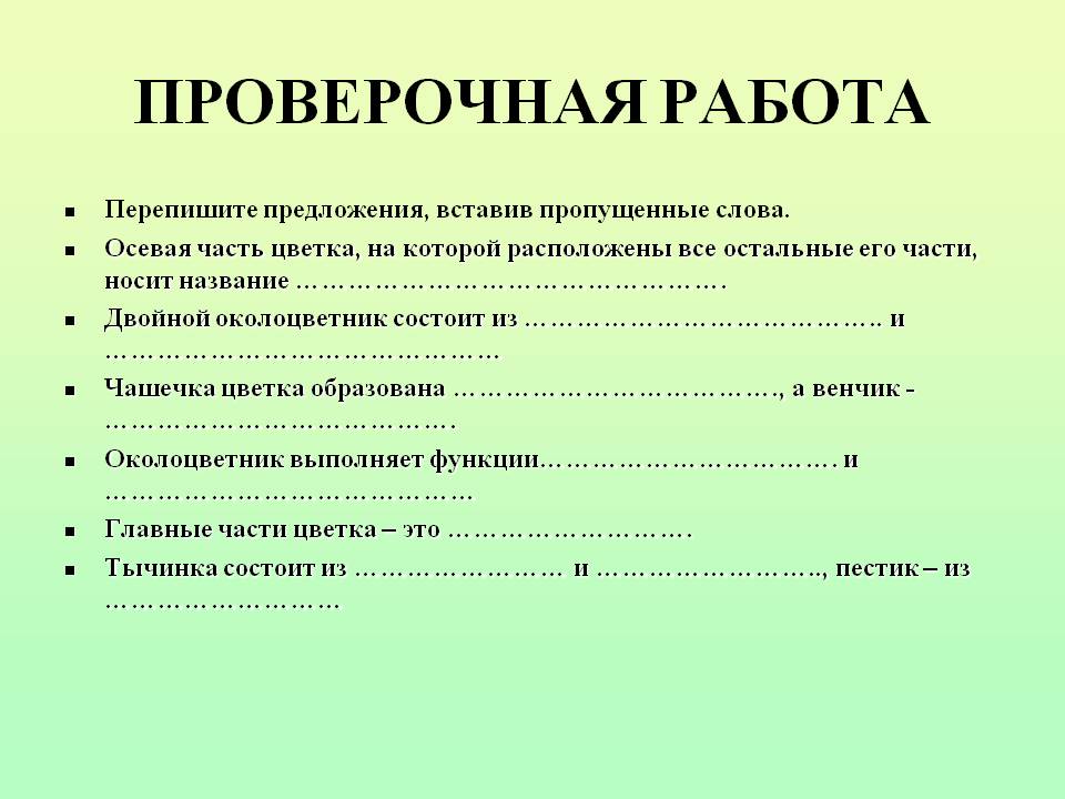 Проверочная работа