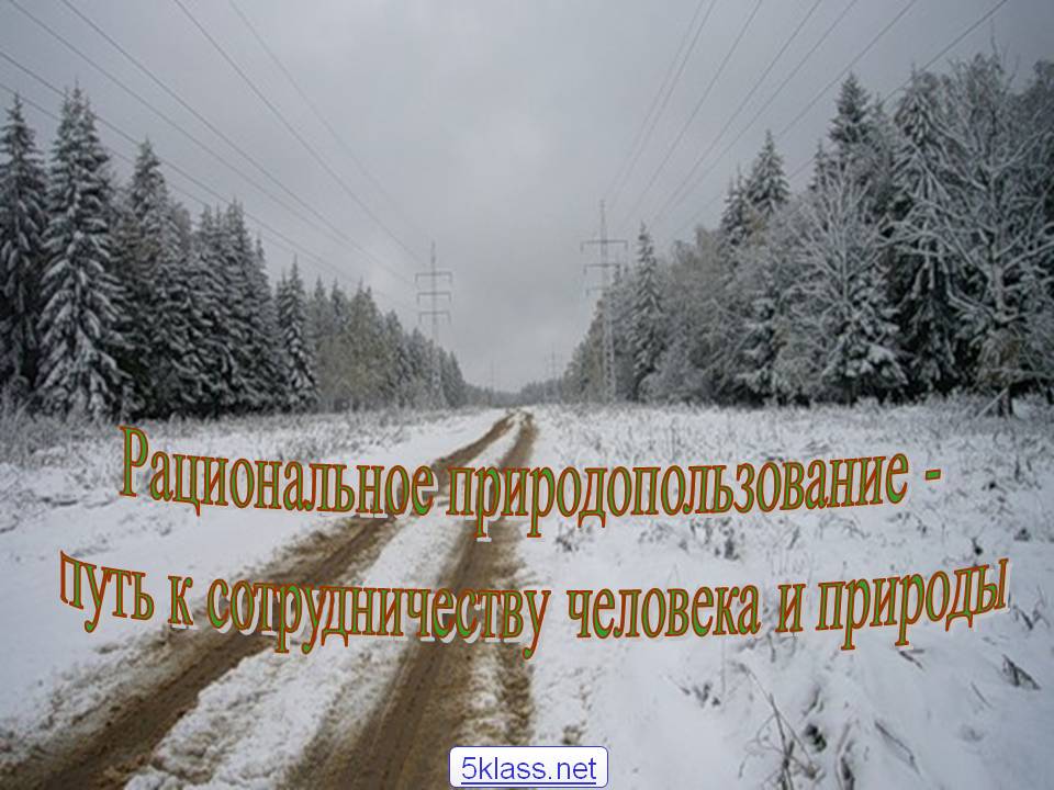 Рациональное природопользование - путь к сотрудничеству человека и