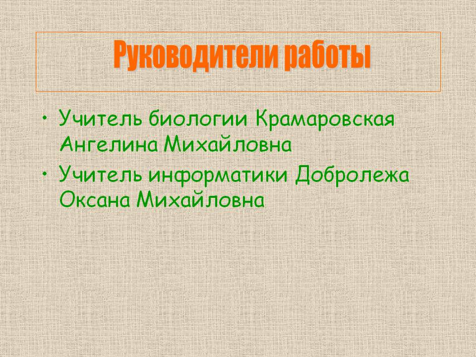 Руководители работы
