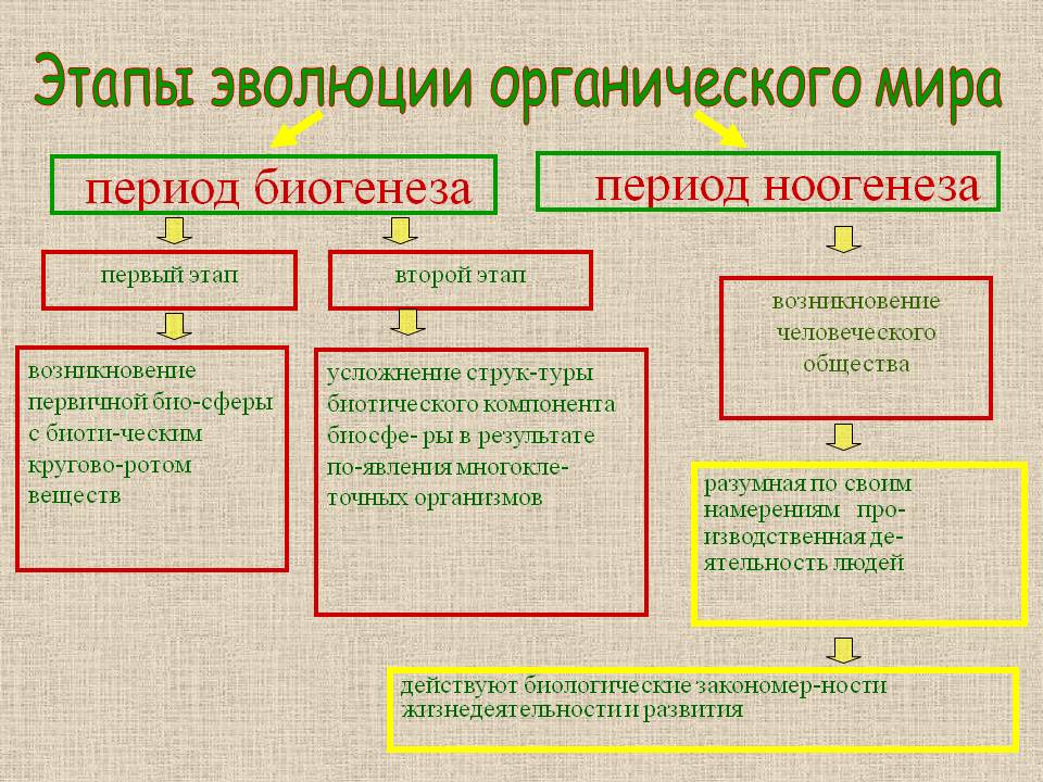 Этапы эволюции органического мира