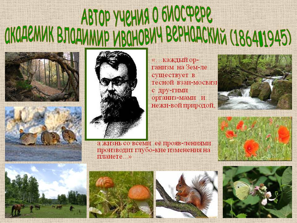 Автор учения о биосфере академик Владимир Иванович Вернадский