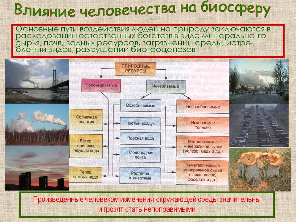 Влияние человечества на биосферу