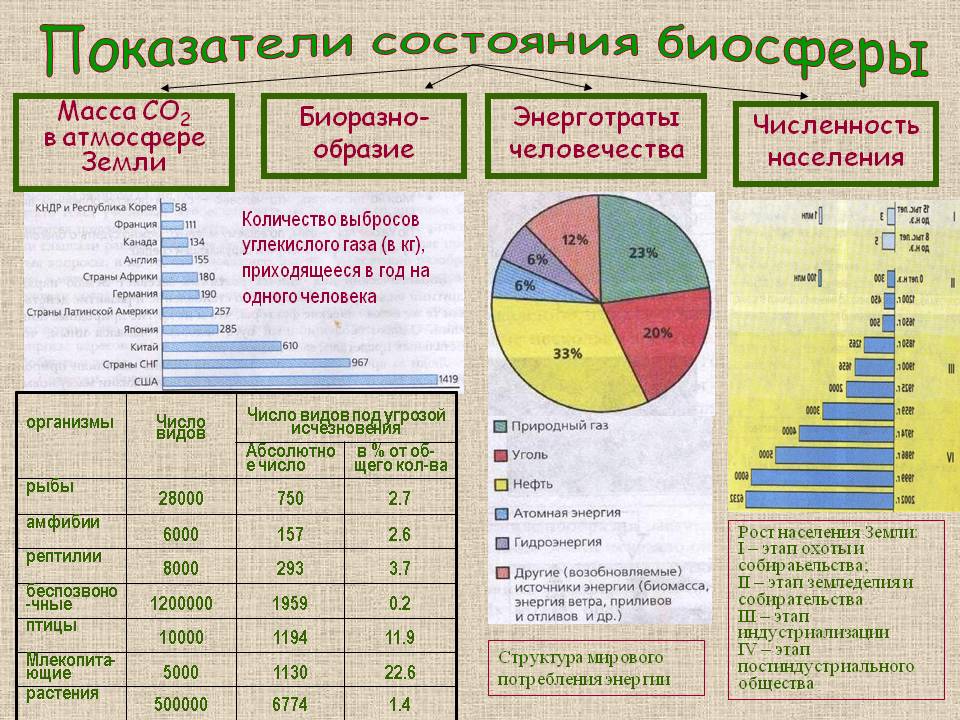 Показатели состояния биосферы