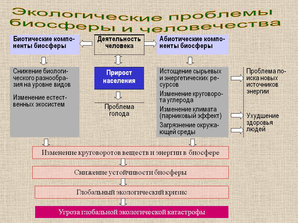 Экологические проблемы биосферы и человечества