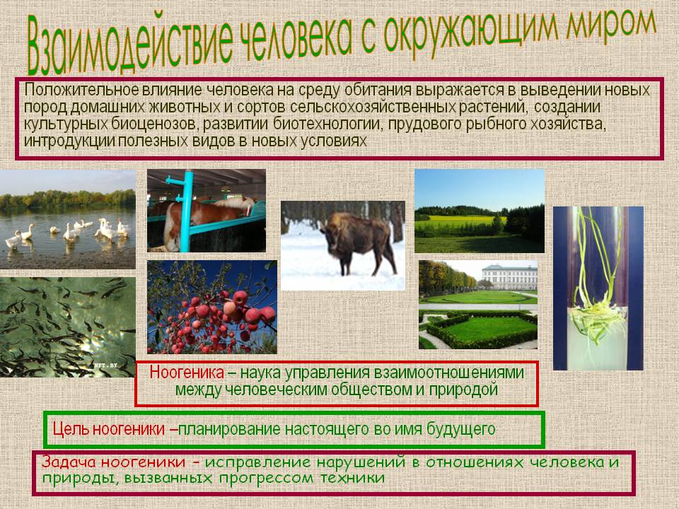 Взаимодействие человека с окружающим миром