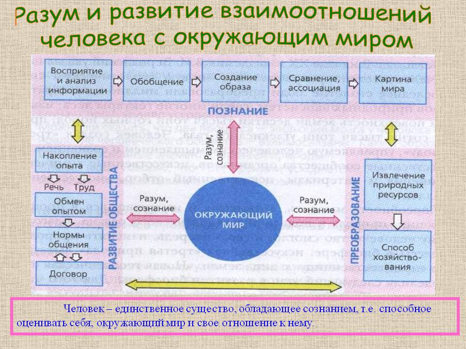 Разум и развитие взаимоотношений человека с окружающим миром