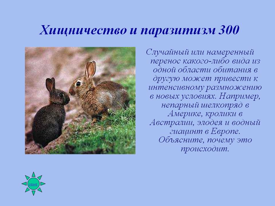 Хищничество и паразитизм 300