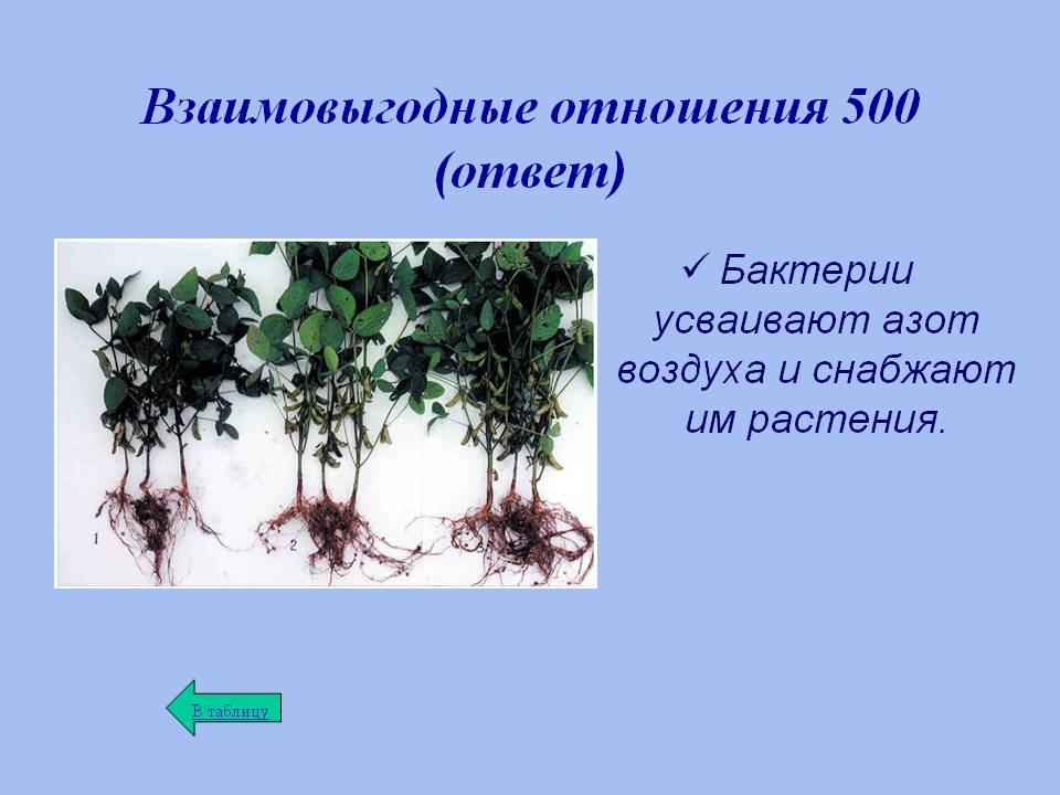 Взаимовыгодные отношения 500 (ответ)