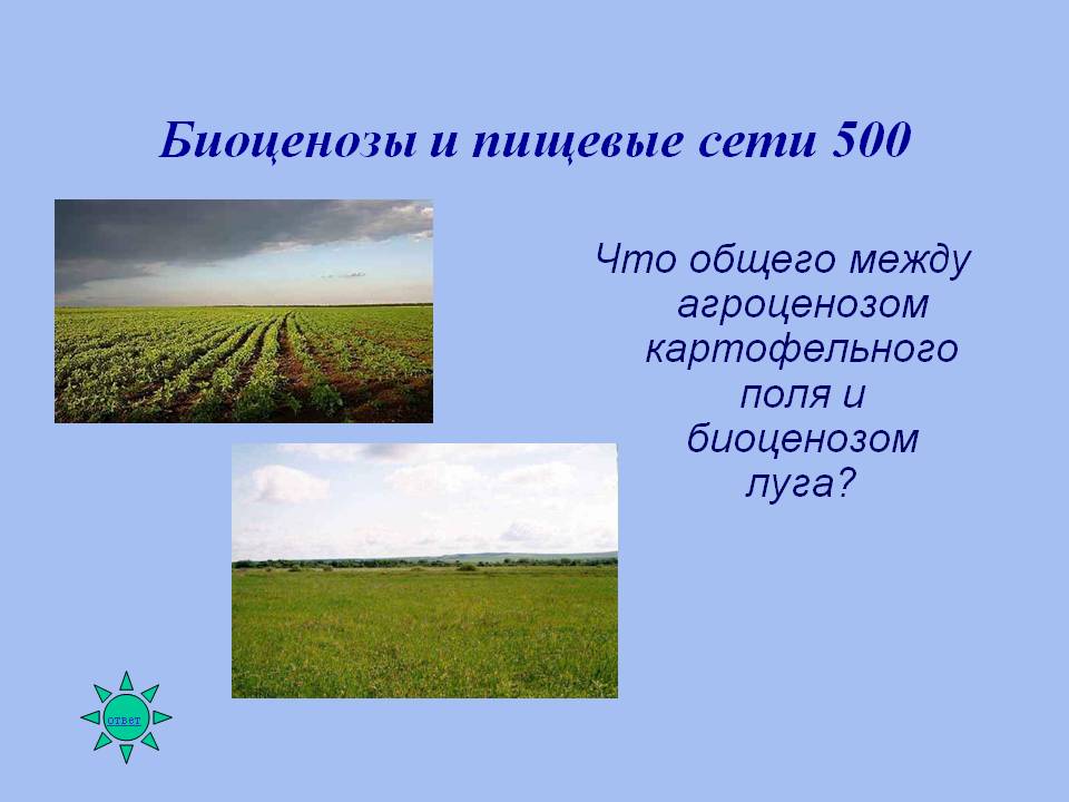 Биоценозы и пищевые сети 500