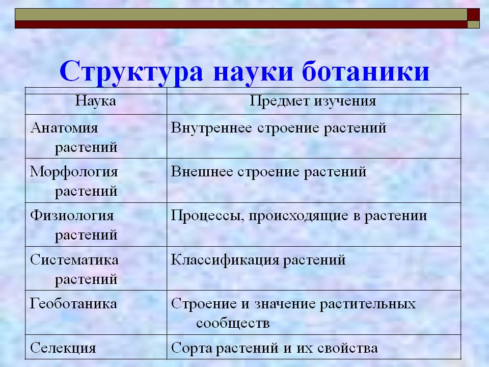 Структура науки ботаники