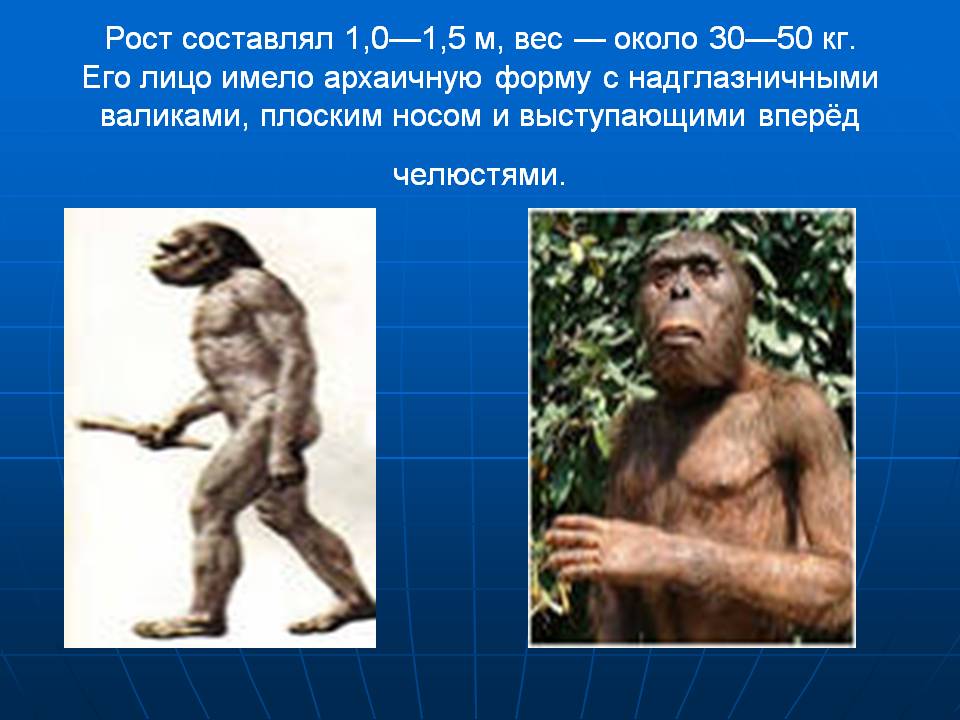 Рост составлял 1,0—1,5 м, вес — около 30—50 кг