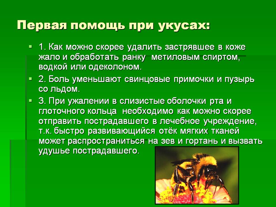 Первая помощь при укусах