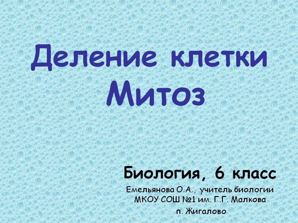 Деление клетки Митоз