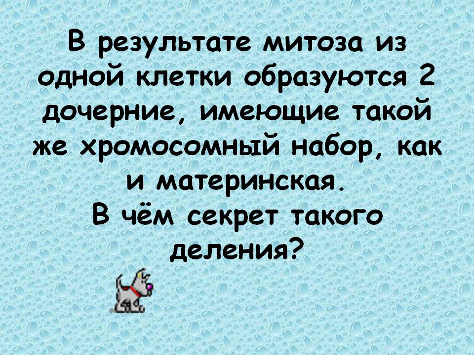 В результате митоза из одной клетки образуются 2 дочерние, имеющие