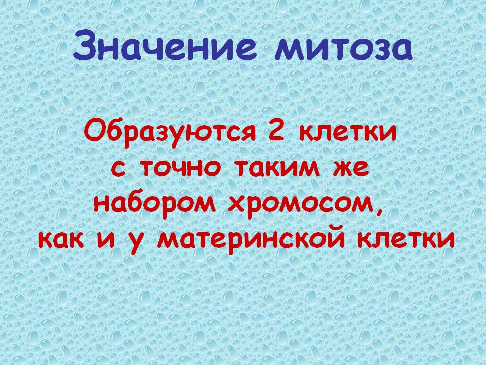 Значение митоза