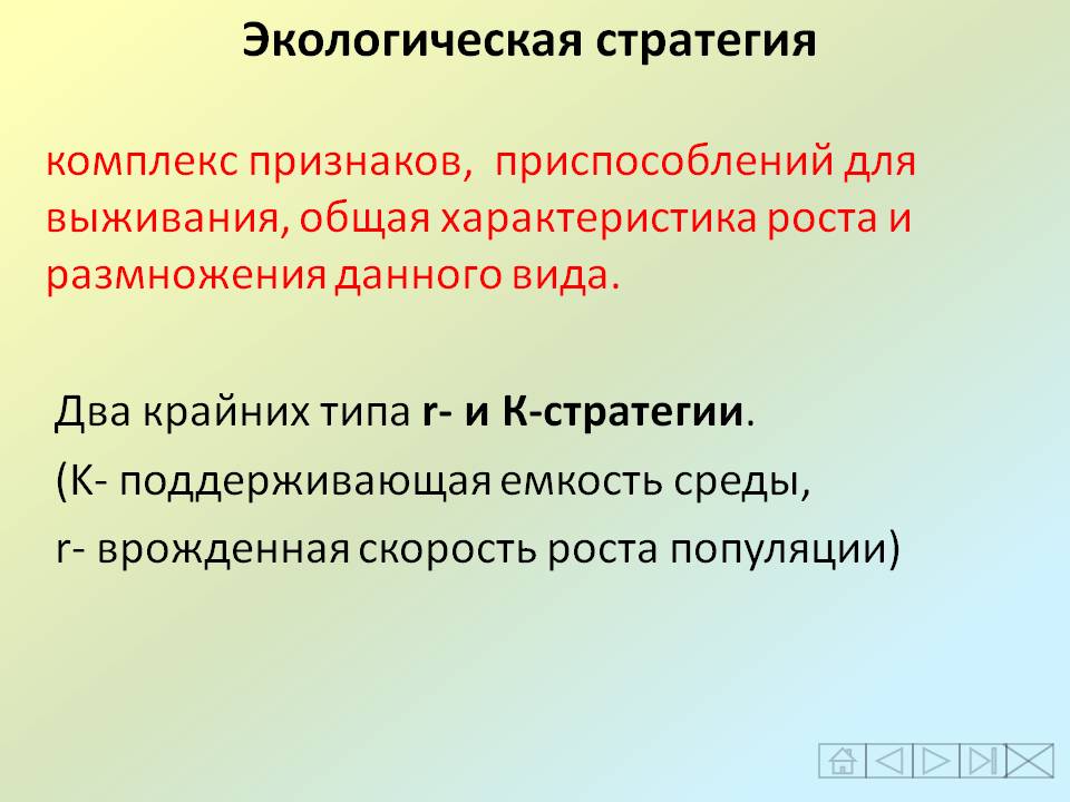 Экологическая стратегия