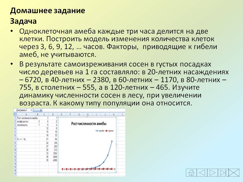 Одноклеточная амеба каждые три часа делится на две клетки