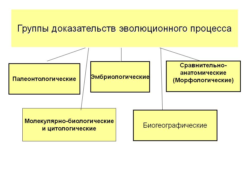 Группы доказательств эволюционного процесса