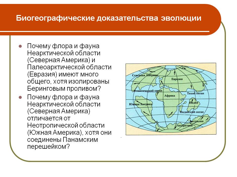 Биогеографические доказательства эволюции
