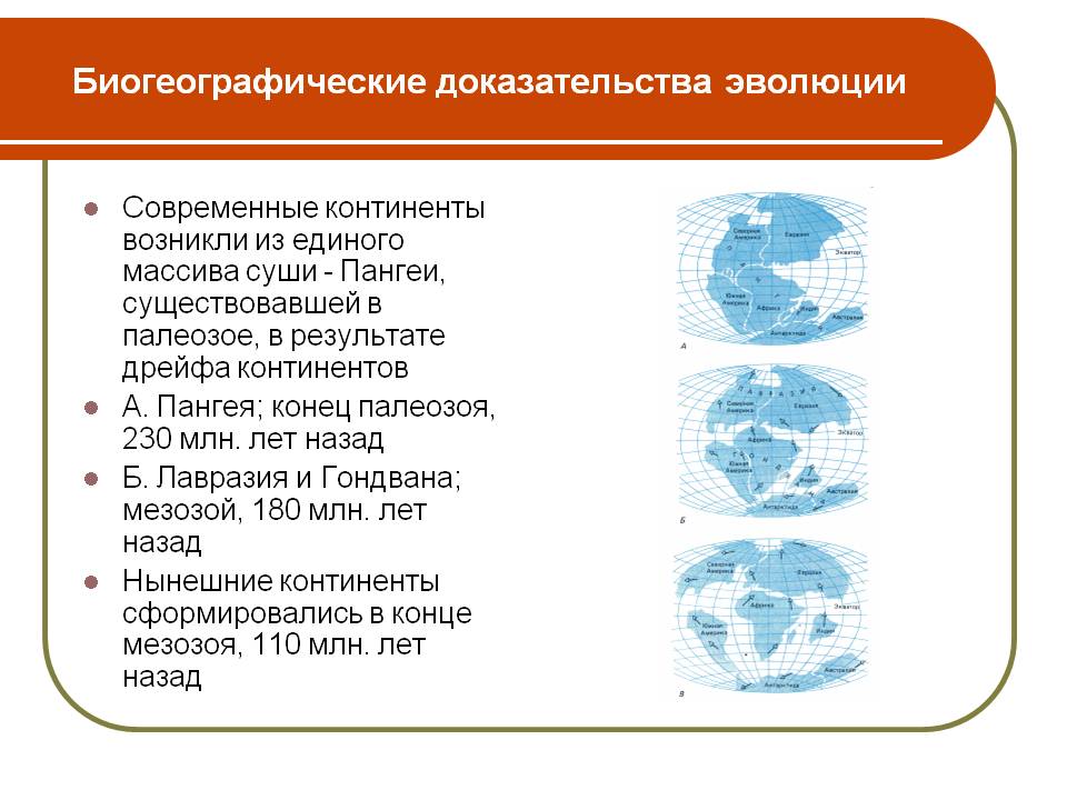 Биогеографические доказательства эволюции