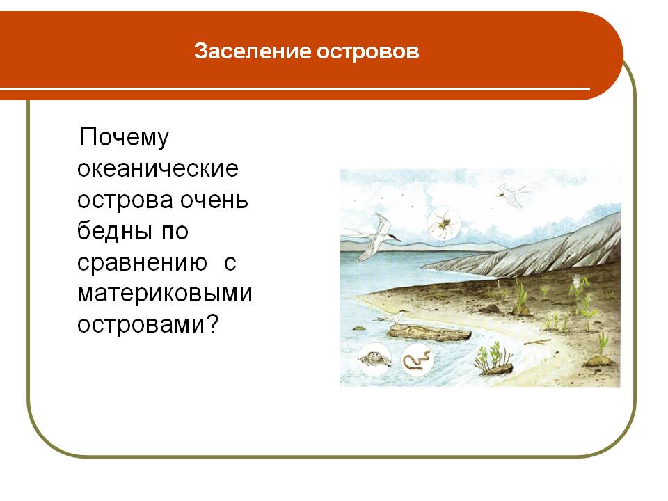 Почему океанические острова очень бедны по сравнению с материковыми