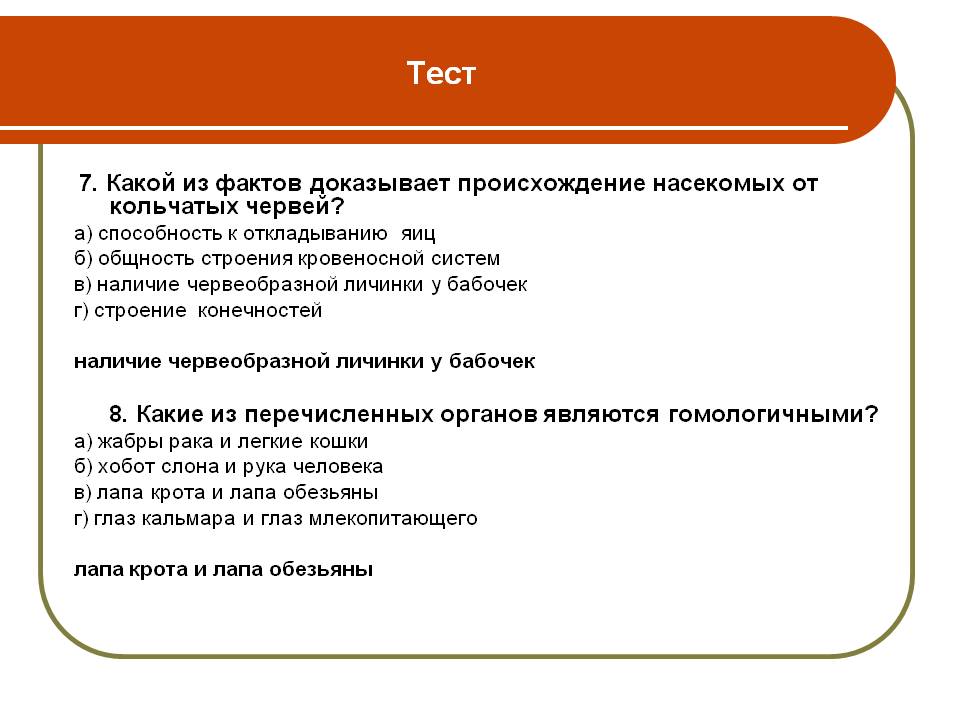 Тест