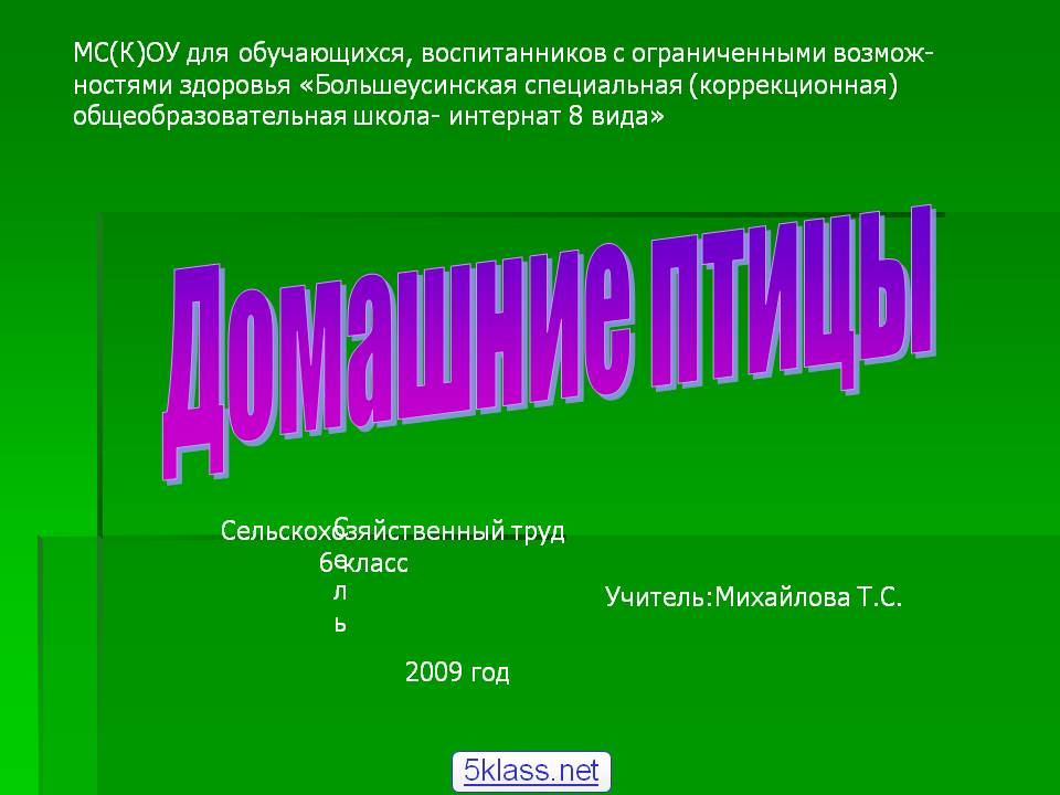 Домашние птицы