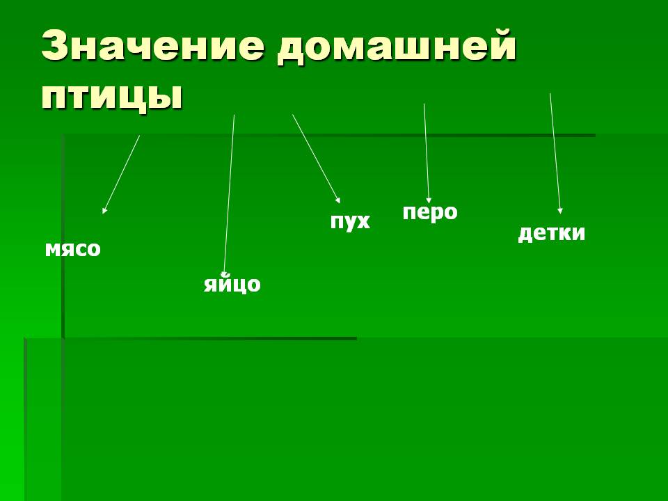 Значение домашней птицы